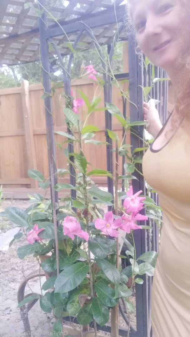 Annie Body [ anniebody ] Onlyfans leaked photo 9032058 on Hotleaks.tv