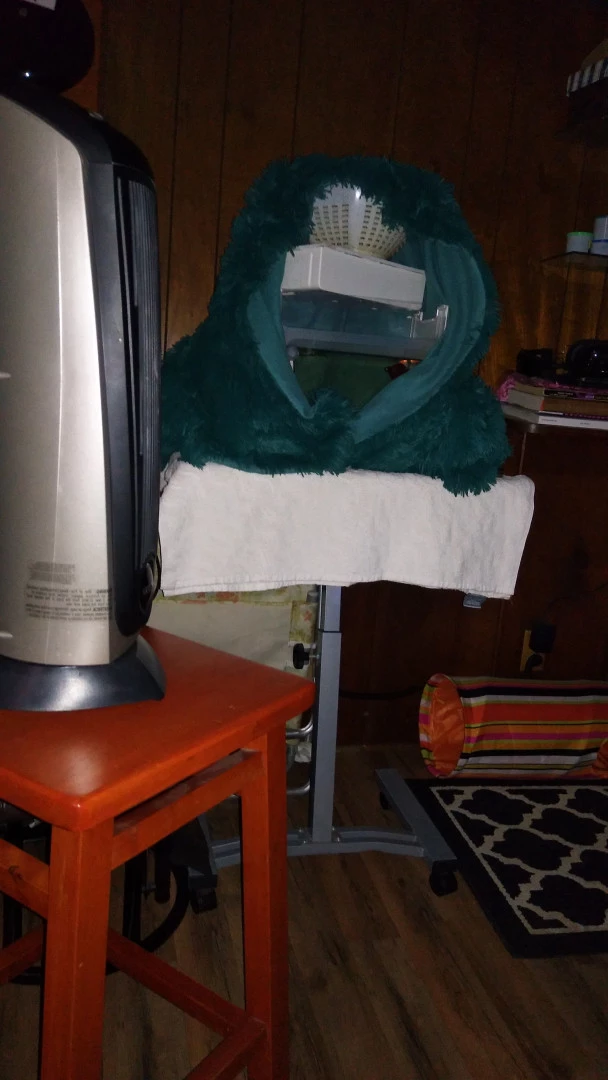 Annie Body [ anniebody ] Onlyfans leaked photo 9045916 on Hotleaks.tv