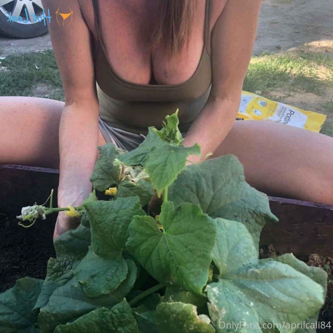 aprilcali84 Onlyfans leaked photo 12275277 on Hotleaks.tv