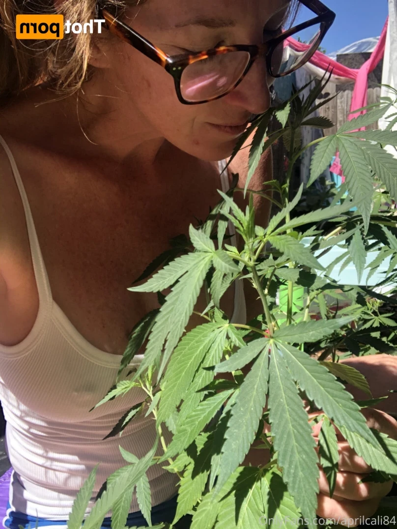 aprilcali84 Onlyfans leaked photo 13046090 on Hotleaks.tv