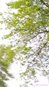 16044927