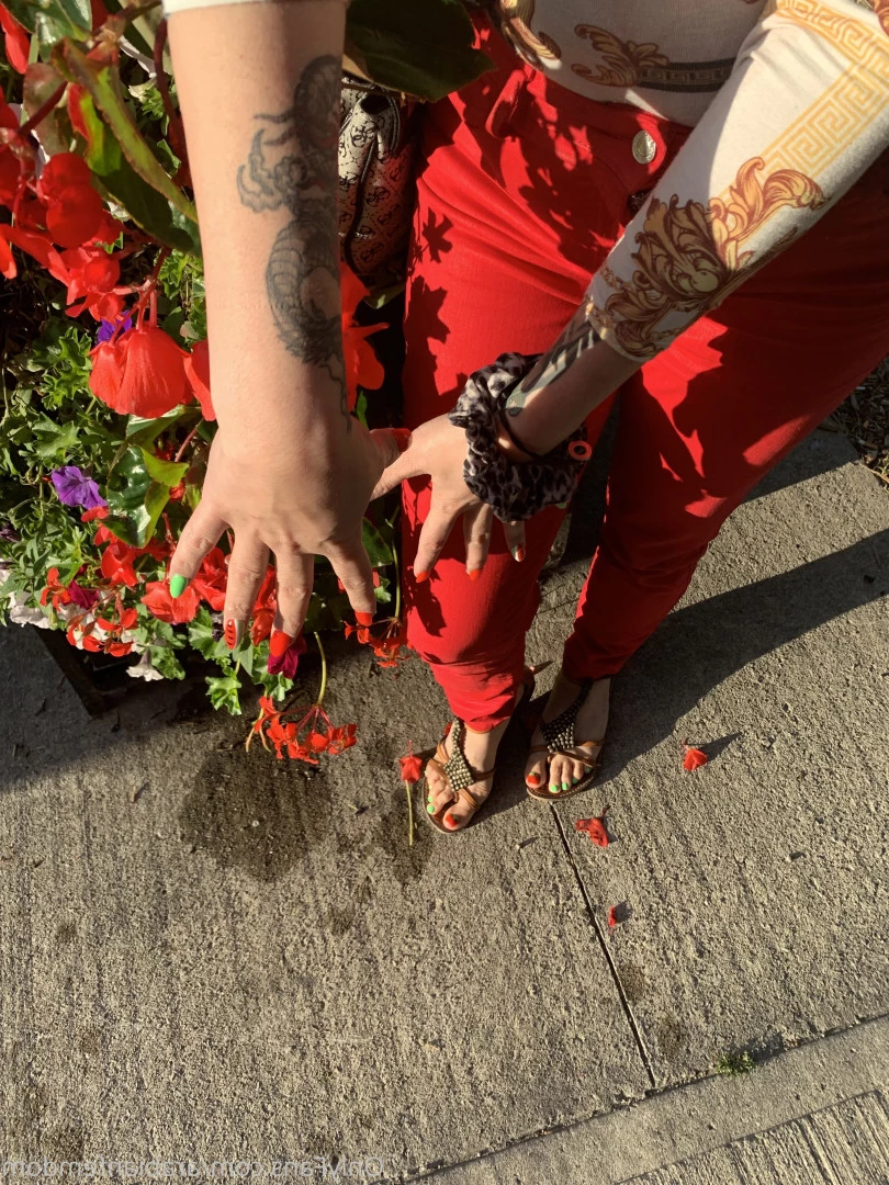 مسترس ليليث [ arabfemdomme ] Onlyfans leaked photo 9149453 on Hotleaks.tv