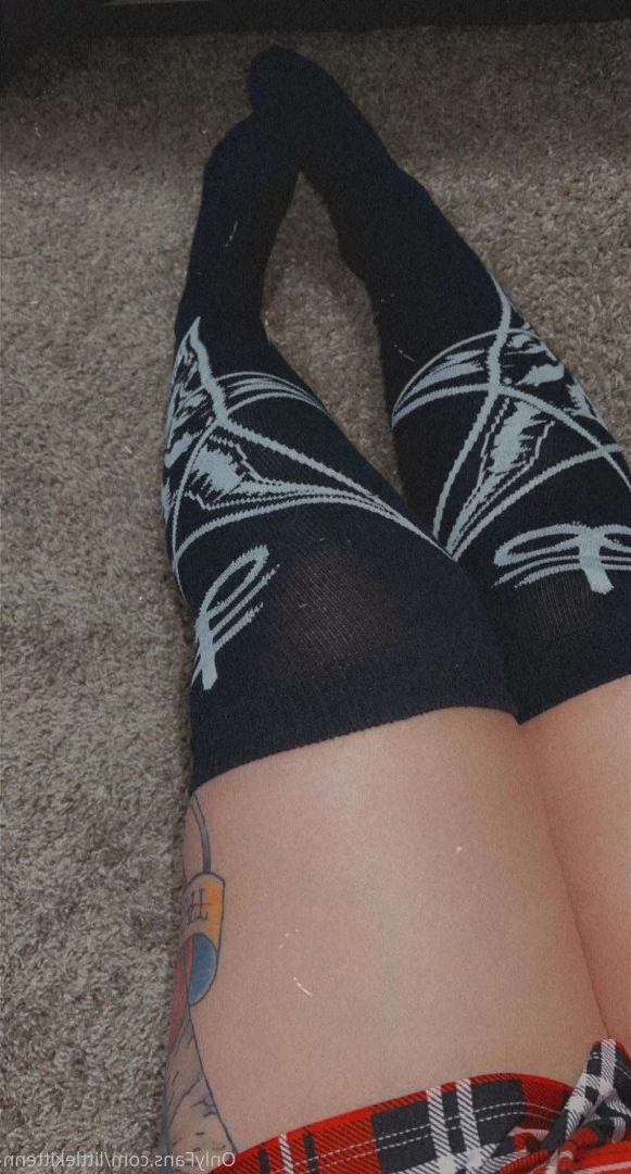 𝔅𝔞𝔟𝔶𝔤𝔦𝔯𝔩 | 𝔱𝔬𝔭 1.5% [ littlekittenn ] Onlyfans leaked photo 4016142 on Hotleaks.tv