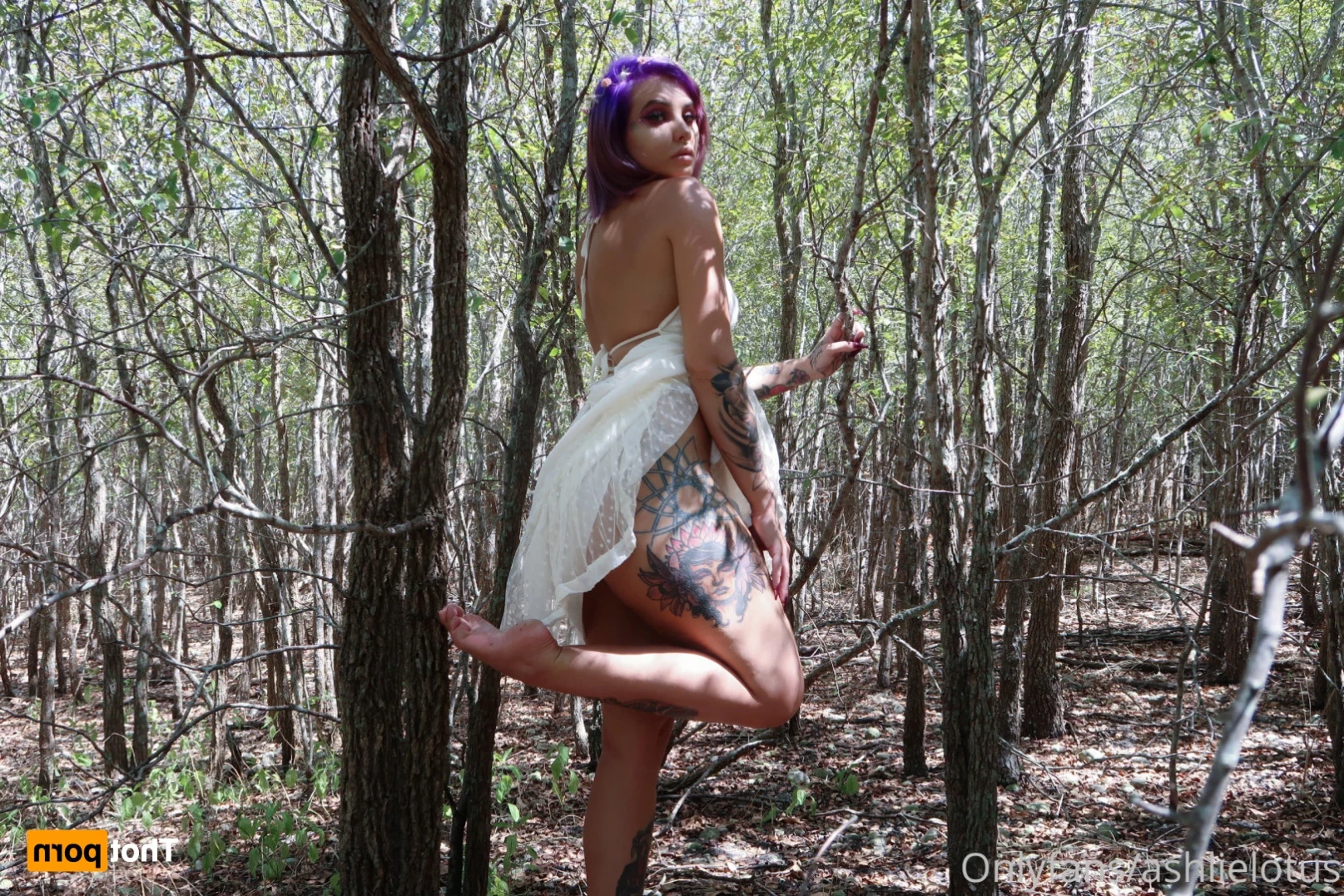 AshlieLotus VIP [ ashlielotus ] Onlyfans leaked photo 15054654 on Hotleaks.tv