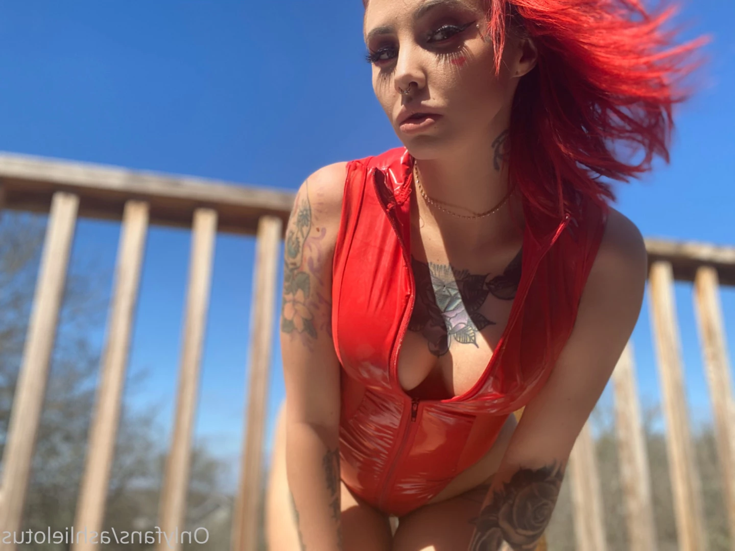 AshlieLotus VIP [ ashlielotus ] Onlyfans leaked photo 15446126 on Hotleaks.tv