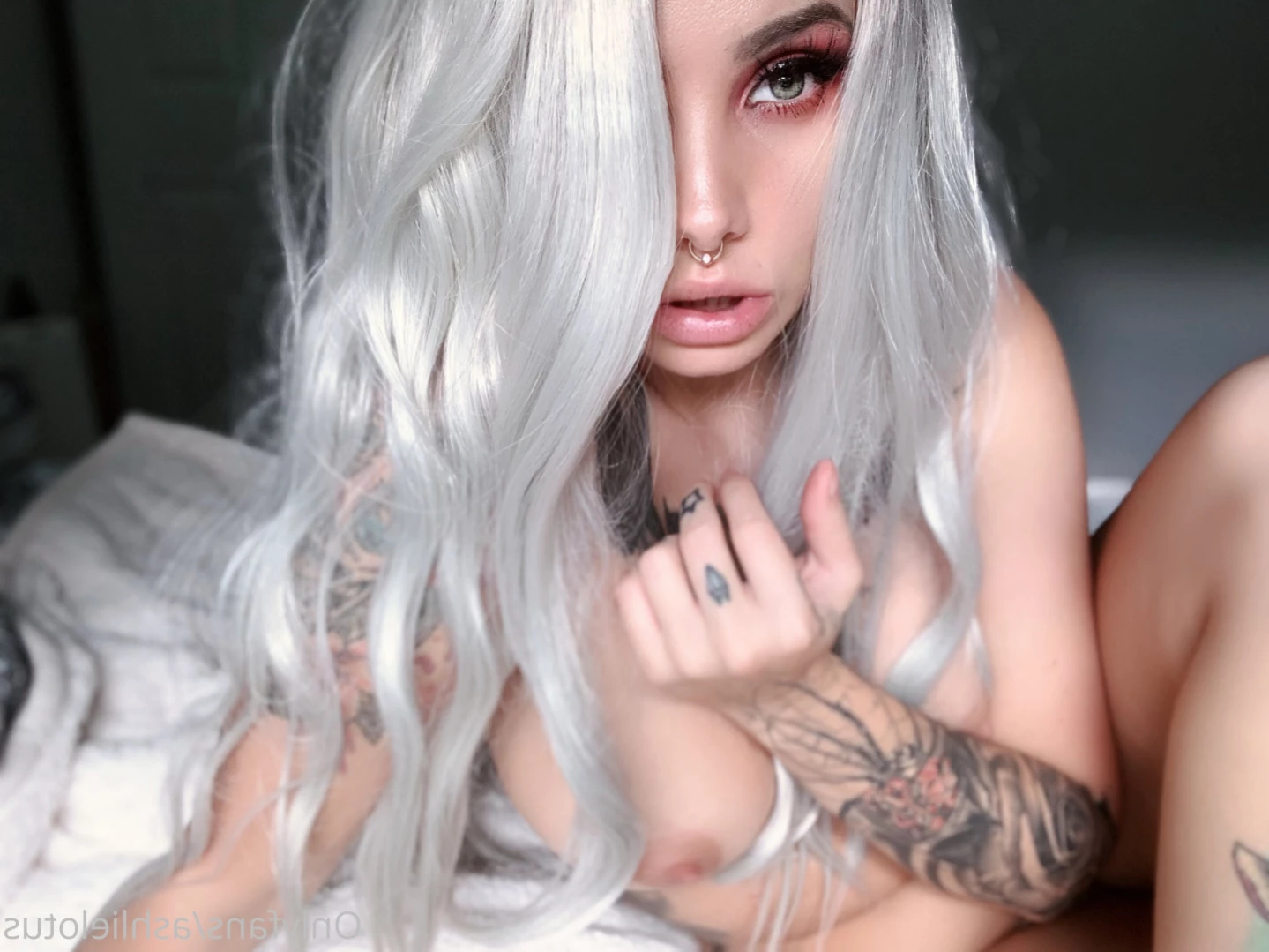 AshlieLotus VIP [ ashlielotus ] Onlyfans leaked photo 15449118 on Hotleaks.tv