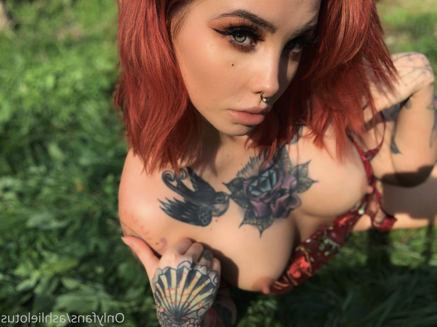 AshlieLotus VIP [ ashlielotus ] Onlyfans leaked photo 16101970 on Hotleaks.tv