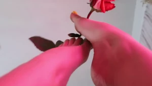 10496298