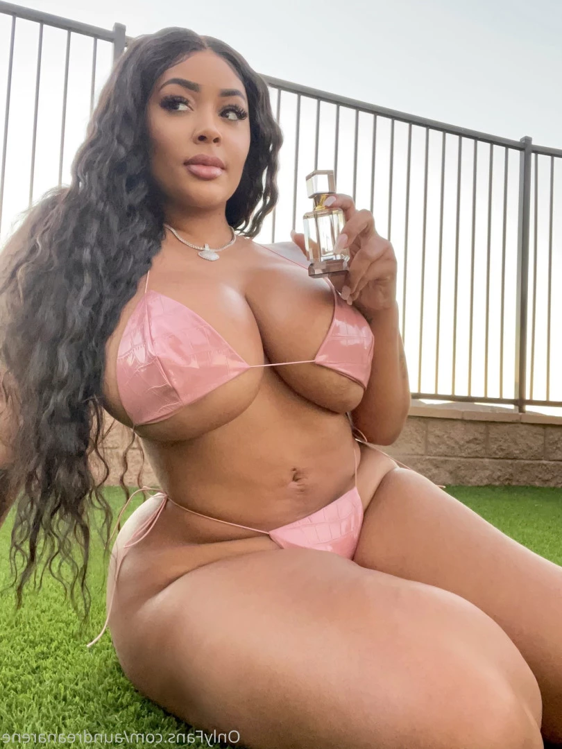 Aundreana Rene’ FREE [ aundreanarene ] Onlyfans leaked photo 9905455 on Hotleaks.tv