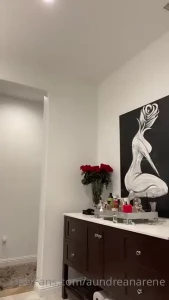Aundreana Rene’ FREE [ aundreanarene ] Onlyfans leaked video 10495815 on Hotleaks.tv