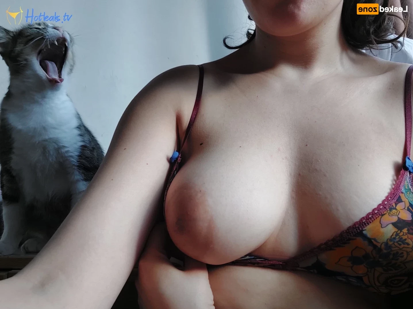 avaxofoxx Onlyfans leaked photo 15440750 on Hotleaks.tv