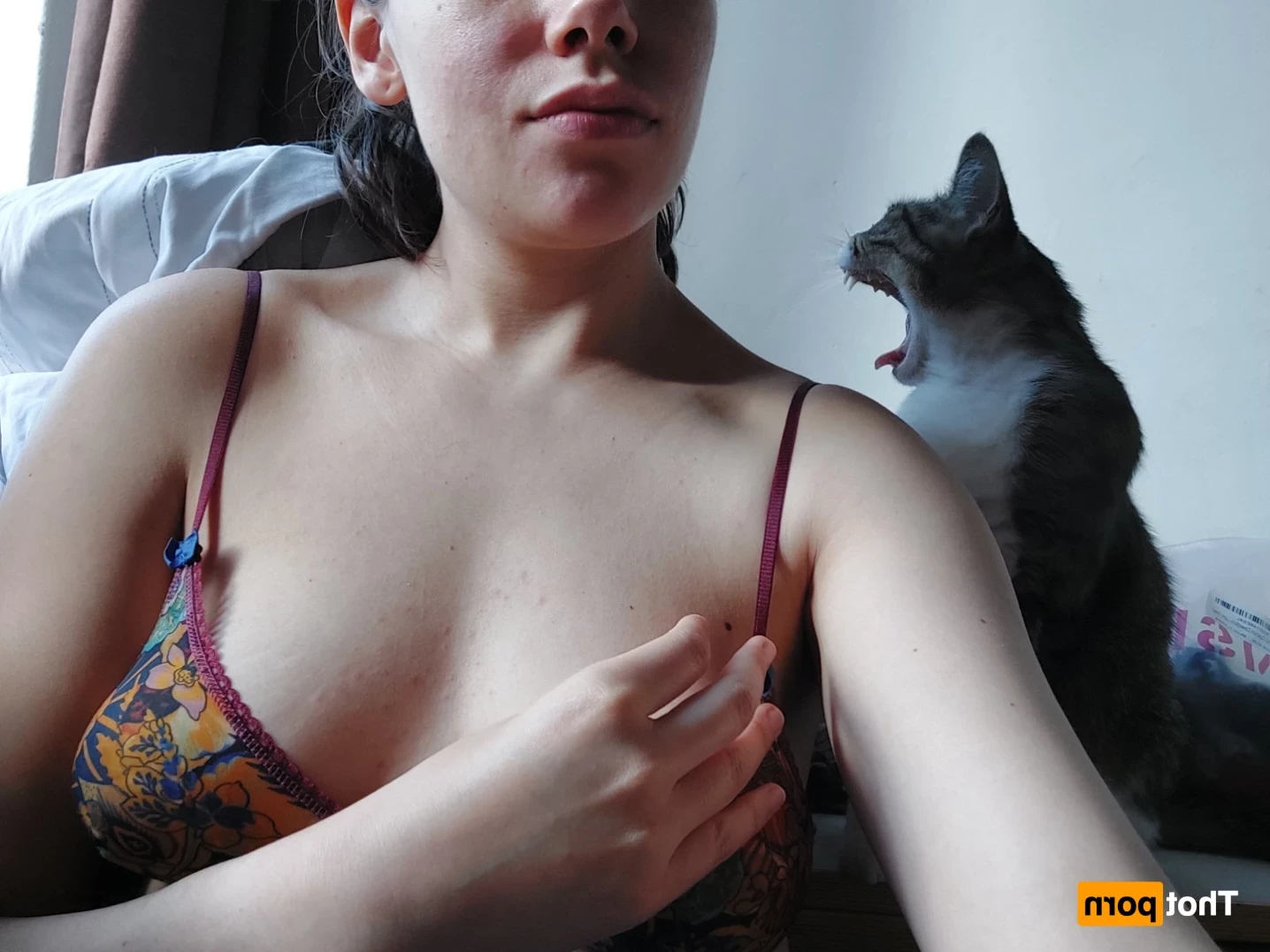 avaxofoxx Onlyfans leaked photo 15440866 on Hotleaks.tv