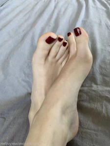 15621903