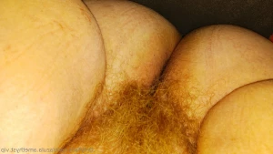 15912711