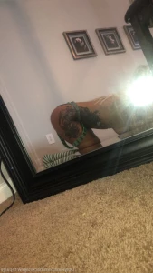 10223704