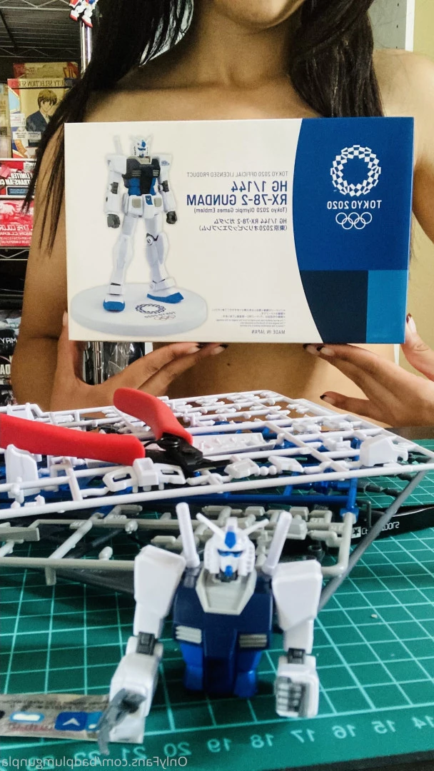 badplumgunpla Onlyfans leaked photo 9144654 on Hotleaks.tv