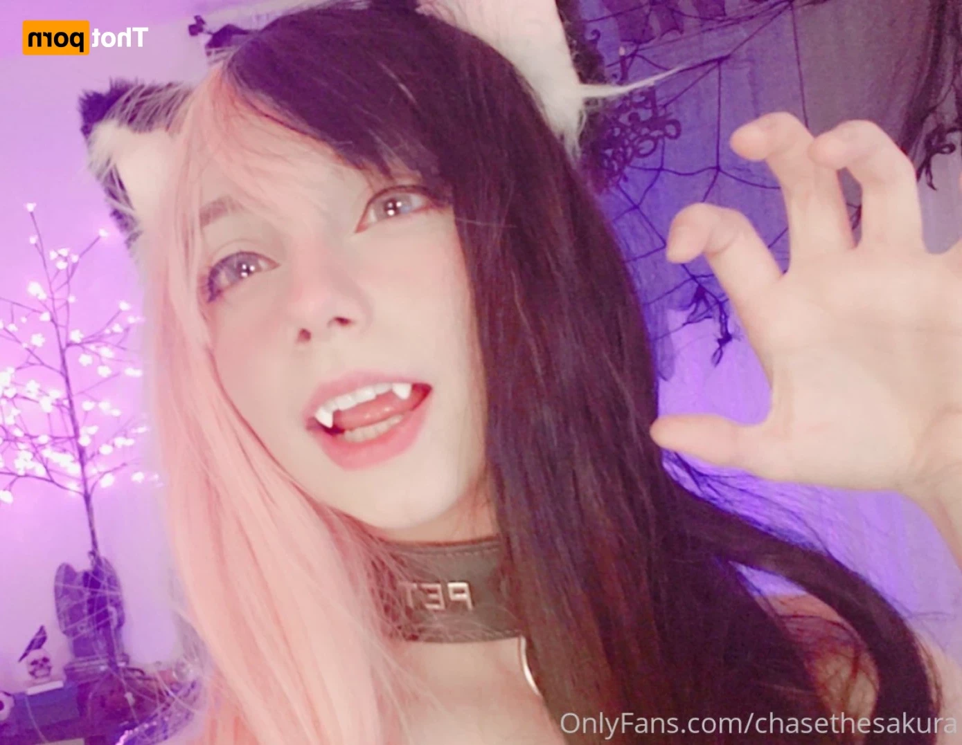 baoxxxi Onlyfans leaked photo 12264513 on Hotleaks.tv