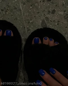 15835858
