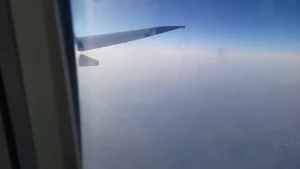 10485557