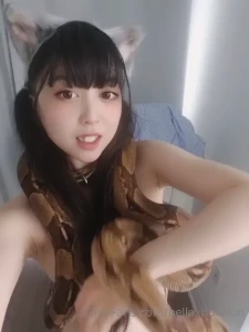 16112967
