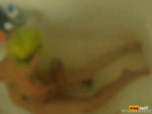 16061538