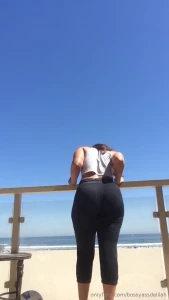 15606016