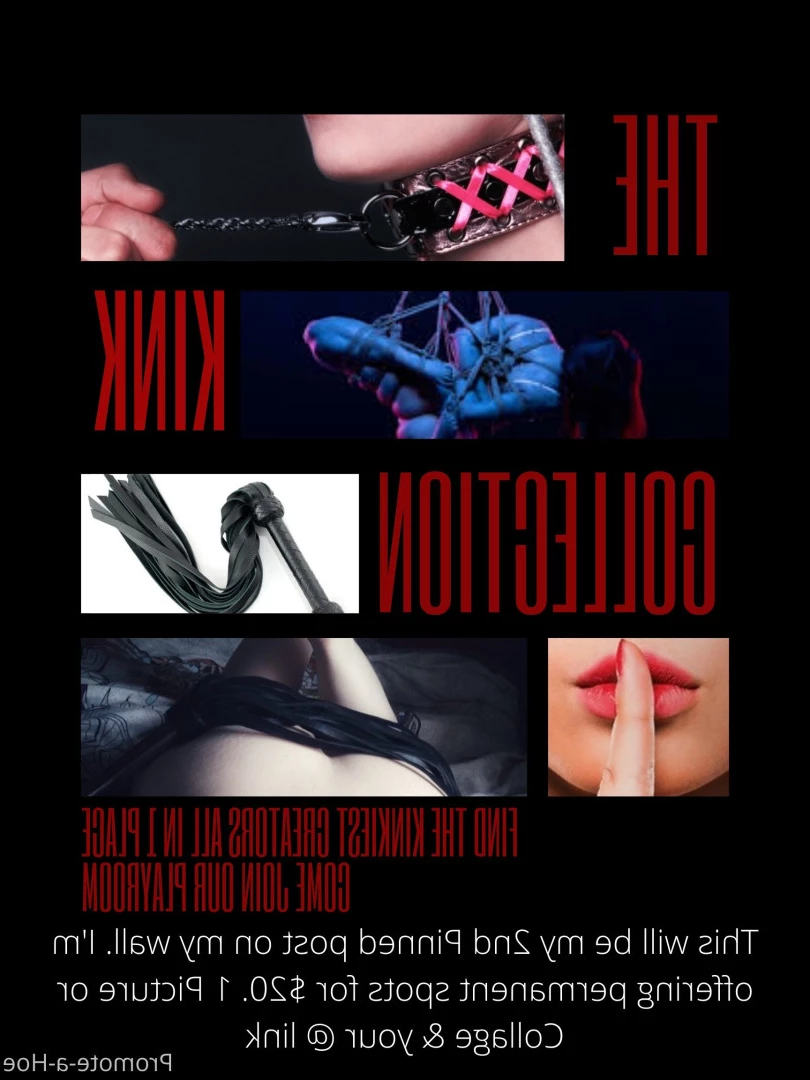 promote-a-hoe Onlyfans leaked photo 8993728 on Hotleaks.tv
