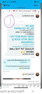 9027446