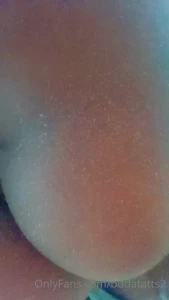16014079