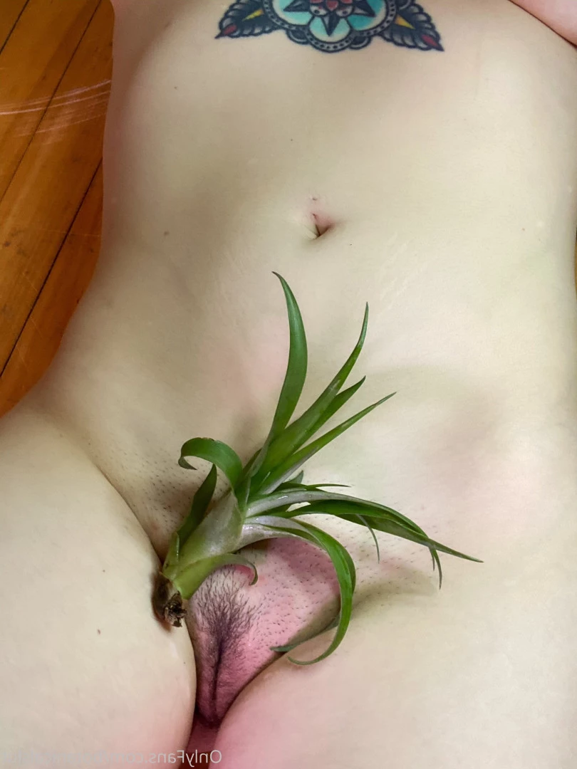 bushybaby ✨ X-RATED [ bushybaby ] Onlyfans leaked photo 9113550 on Hotleaks.tv