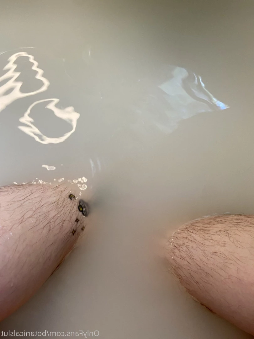 bushybaby ✨ X-RATED [ bushybaby ] Onlyfans leaked photo 9114522 on Hotleaks.tv