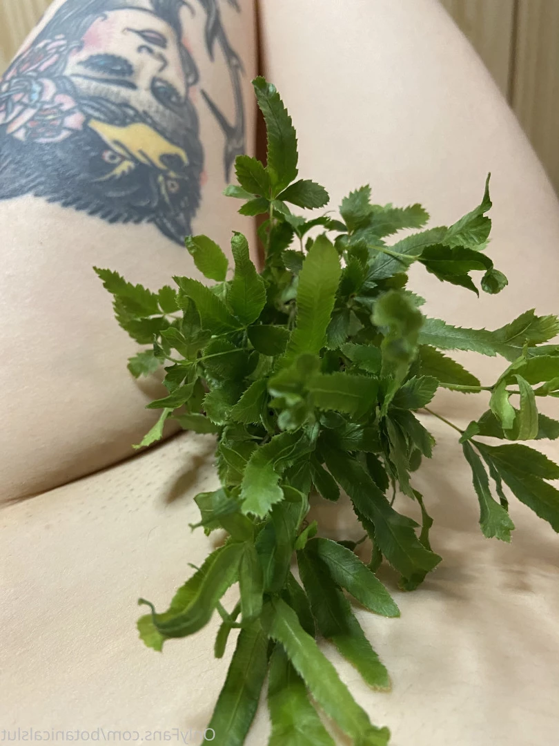 bushybaby ✨ X-RATED [ bushybaby ] Onlyfans leaked photo 9116170 on Hotleaks.tv
