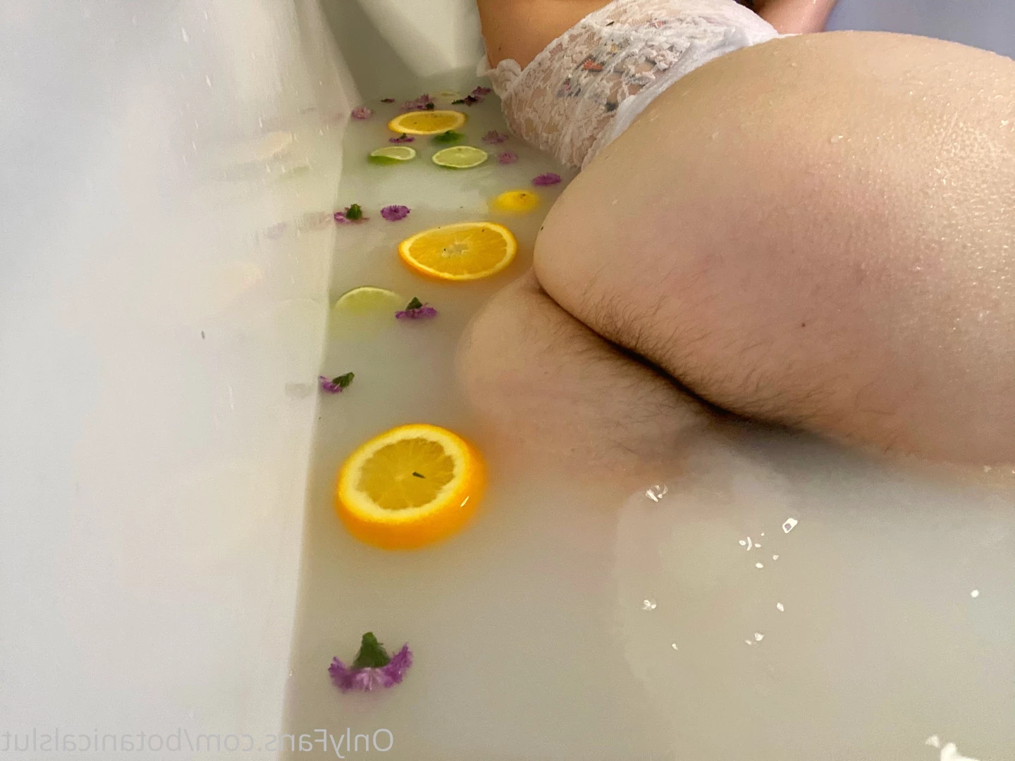 bushybaby ✨ X-RATED [ bushybaby ] Onlyfans leaked photo 9119348 on Hotleaks.tv
