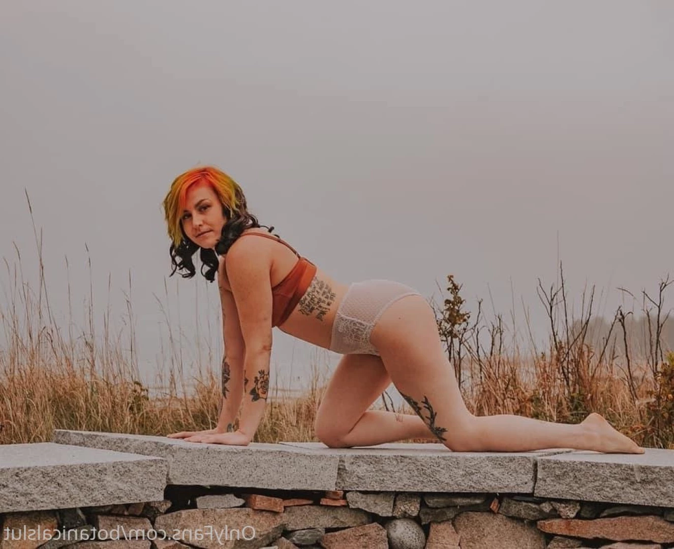 bushybaby ✨ X-RATED [ bushybaby ] Onlyfans leaked photo 9693468 on Hotleaks.tv