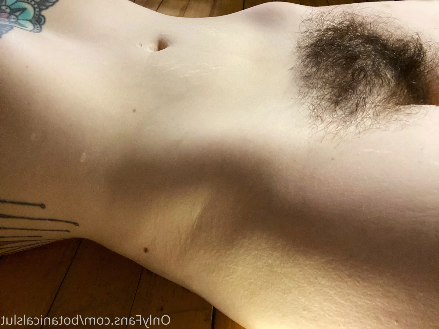 bushybaby ✨ X-RATED [ bushybaby ] Onlyfans leaked photo 9693483 on Hotleaks.tv