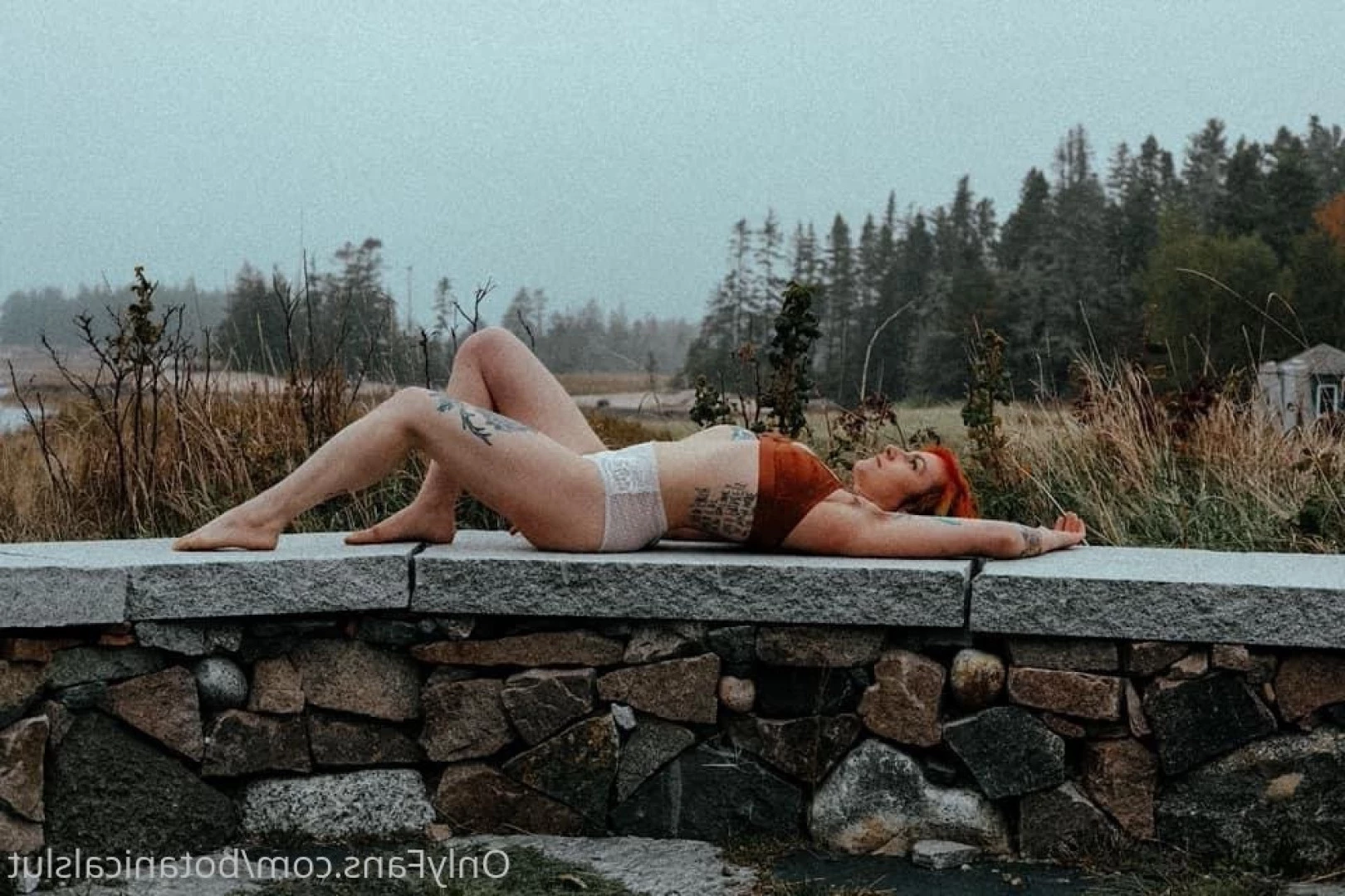 bushybaby ✨ X-RATED [ bushybaby ] Onlyfans leaked photo 9694942 on Hotleaks.tv