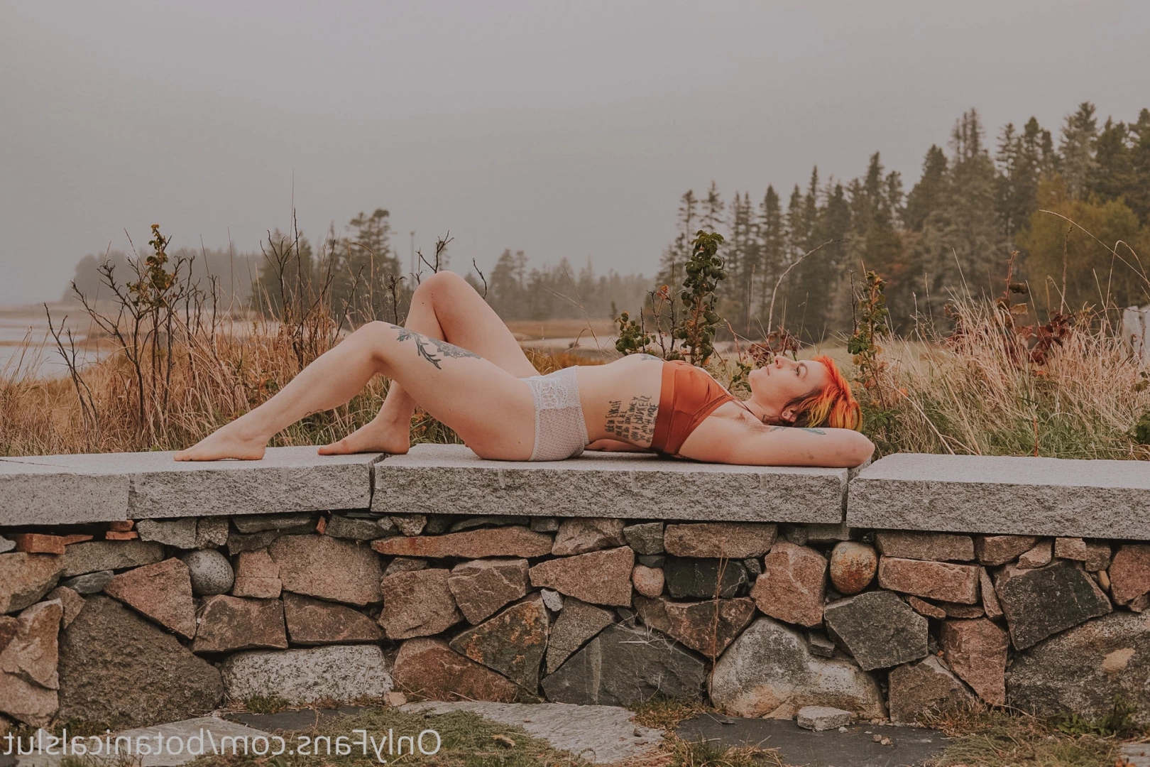 bushybaby ✨ X-RATED [ bushybaby ] Onlyfans leaked photo 9697551 on Hotleaks.tv