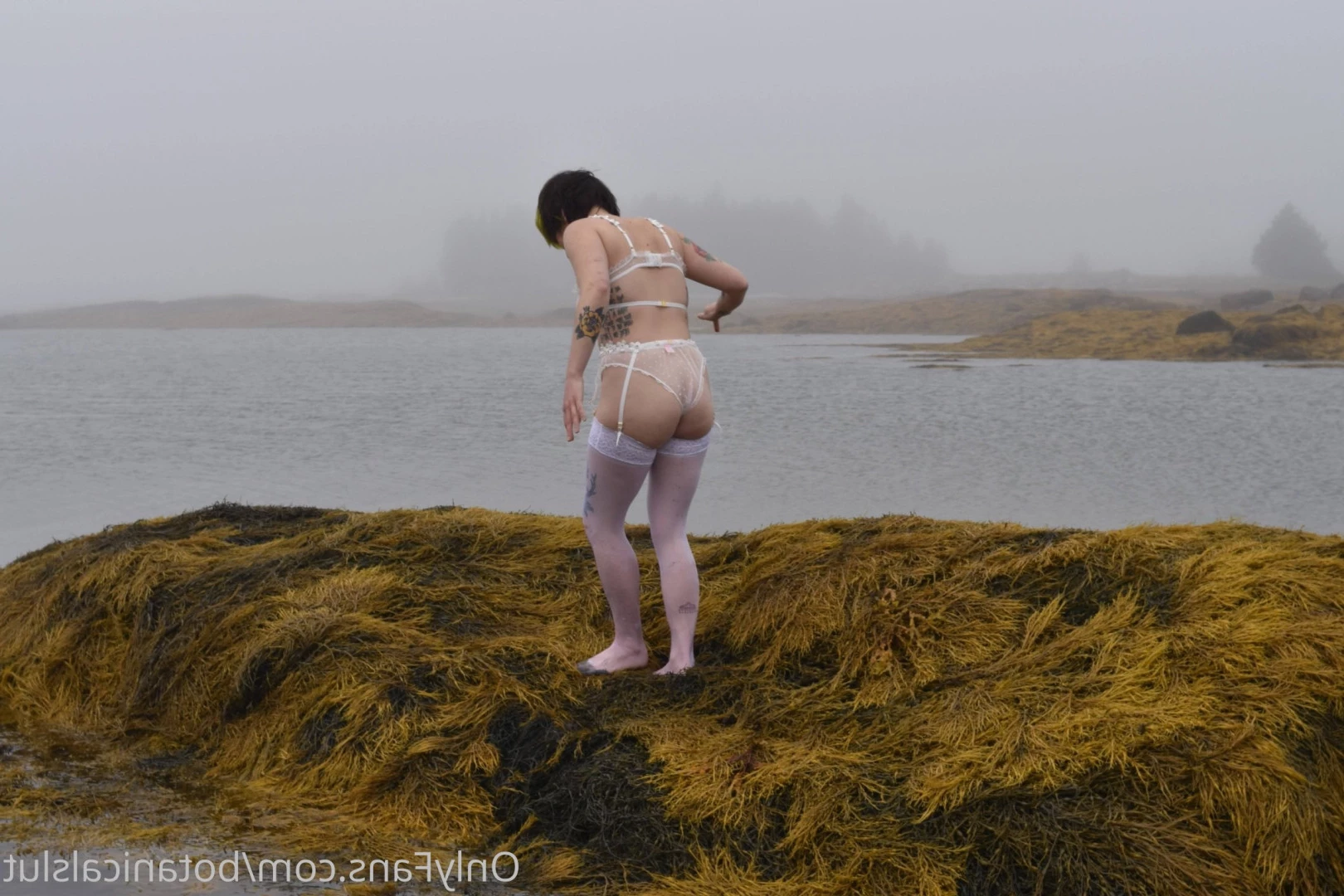 bushybaby ✨ X-RATED [ bushybaby ] Onlyfans leaked photo 9697586 on Hotleaks.tv