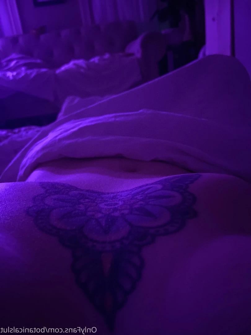bushybaby ✨ X-RATED [ bushybaby ] Onlyfans leaked photo 9698328 on Hotleaks.tv