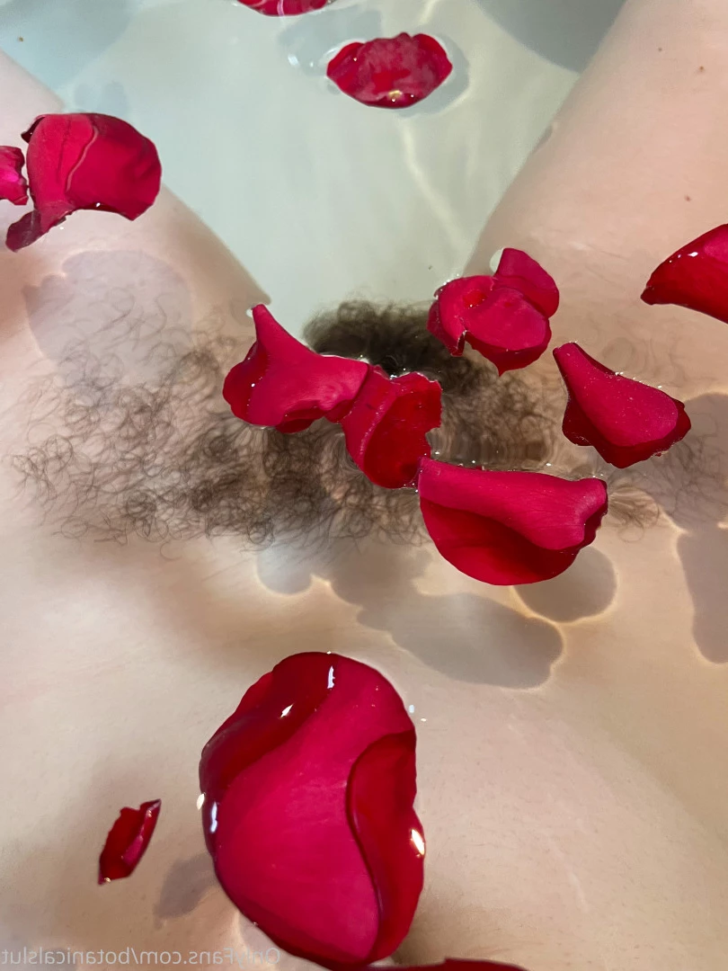 bushybaby ✨ X-RATED [ bushybaby ] Onlyfans leaked photo 9701779 on Hotleaks.tv