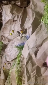 cosmicbroccoli Onlyfans leaked video 10469616 on Hotleaks.tv