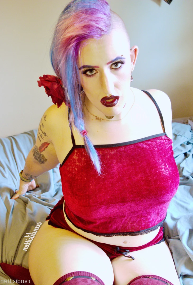 Candi [ candikitten ] Onlyfans leaked photo 13190214 on Hotleaks.tv