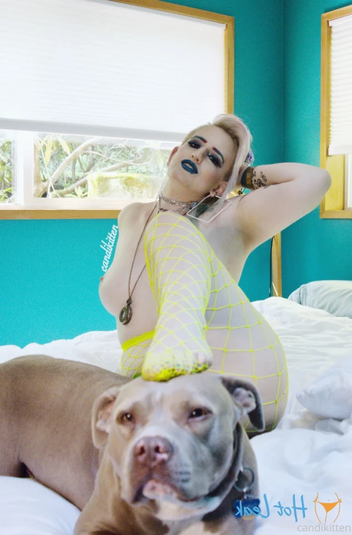 Candi [ candikitten ] Onlyfans leaked photo 15967229 on Hotleaks.tv