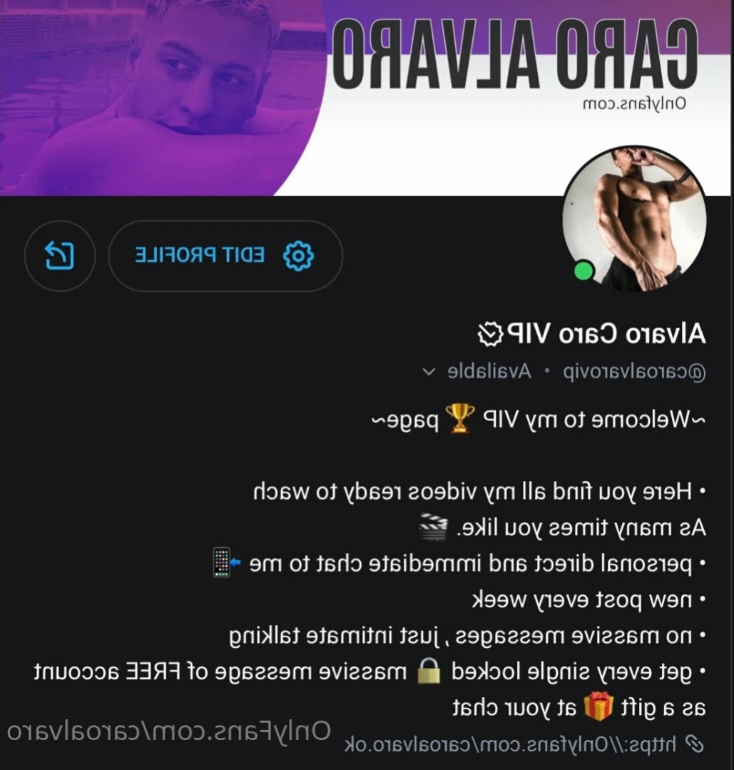 ALVARO [ caroalvaro ] Onlyfans leaked photo 13065997 on Hotleaks.tv