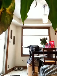 Miss Cassaundra [ misscassaundra ] Onlyfans leaked video 10464425 on Hotleaks.tv