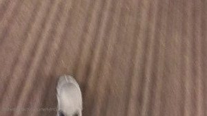 Catherine Foxx [ catherinefoxx ] Onlyfans leaked video 10463264 on Hotleaks.tv