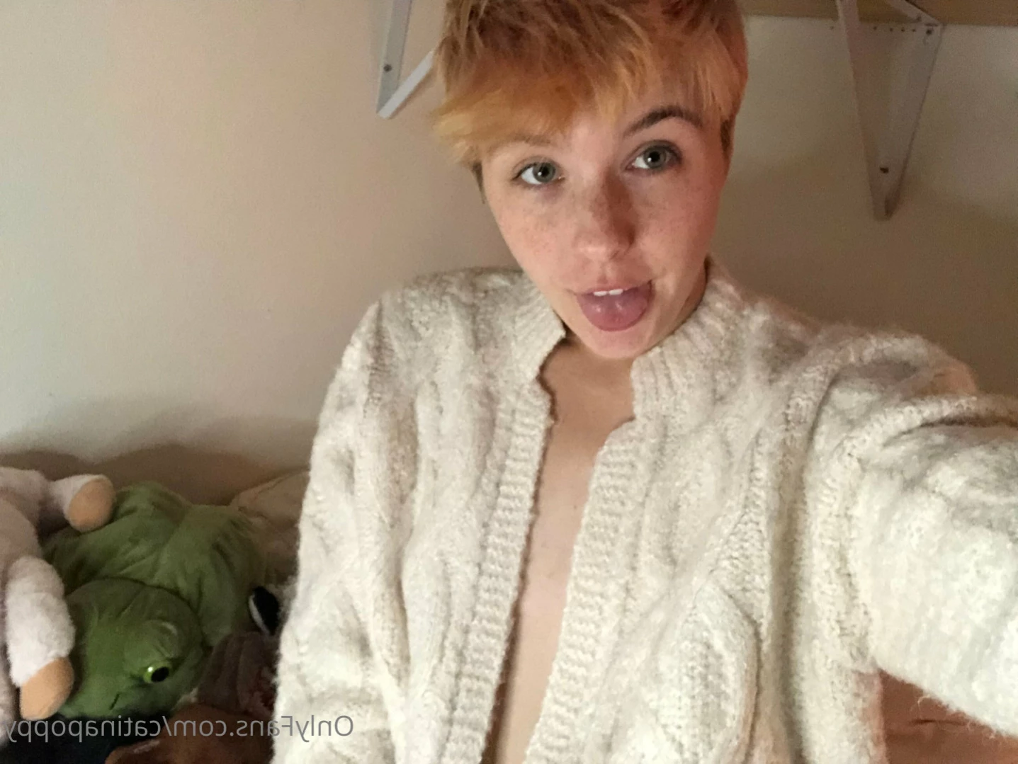 Fae [ catinapoppy ] Onlyfans leaked photo 12746432 on Hotleaks.tv