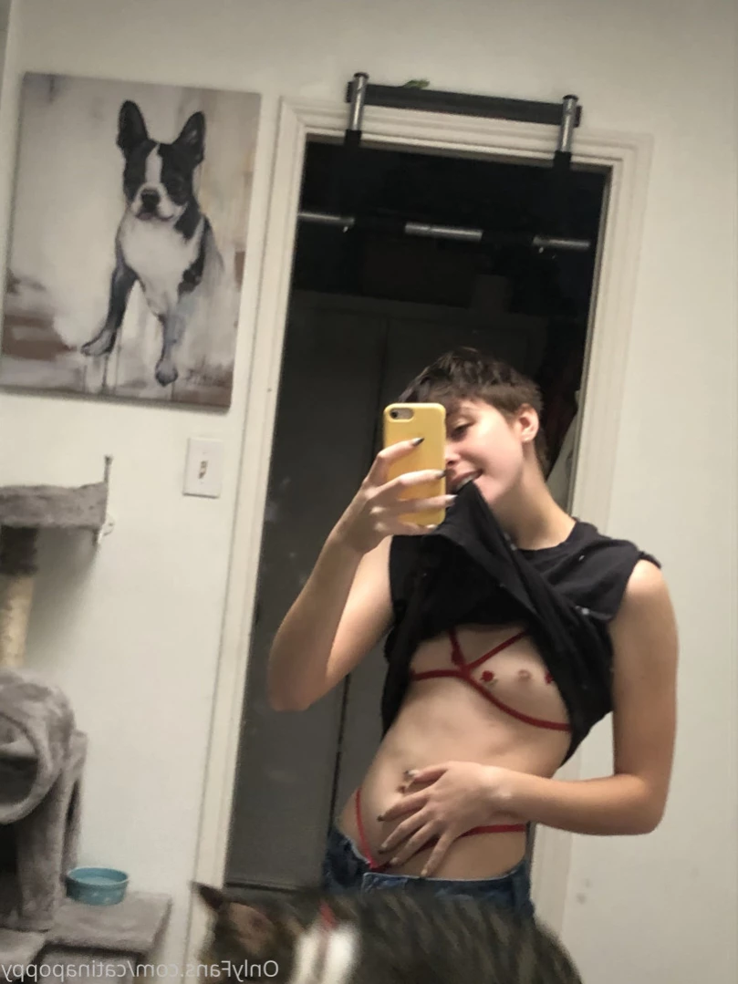 Fae [ catinapoppy ] Onlyfans leaked photo 12747394 on Hotleaks.tv