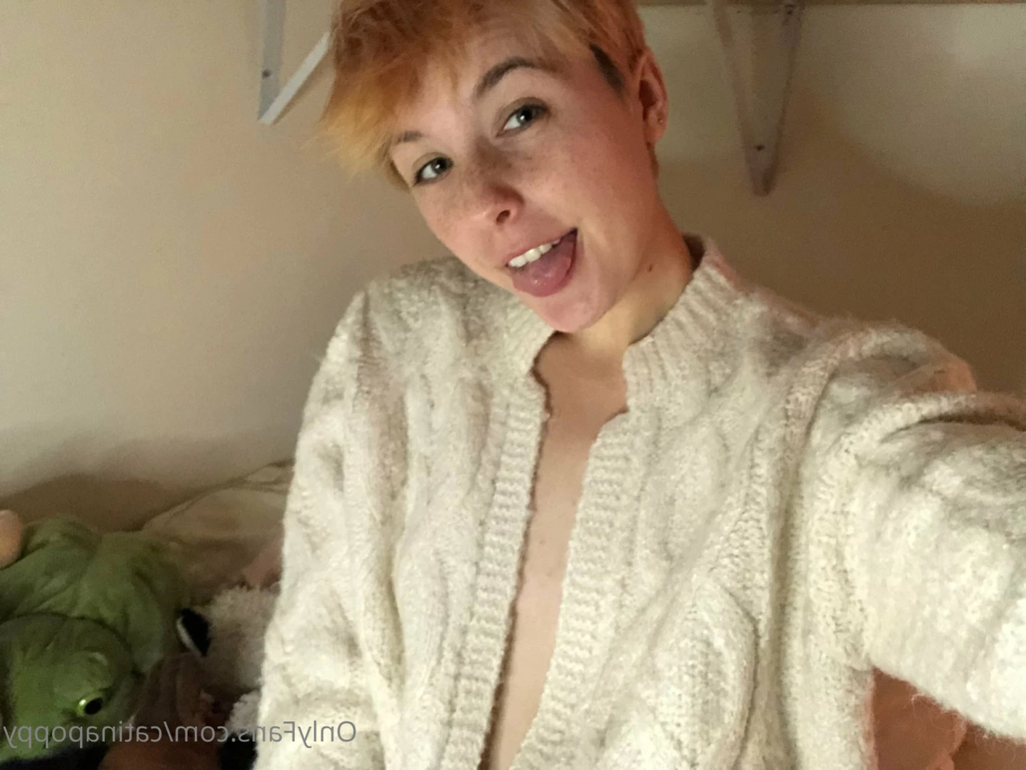 Fae [ catinapoppy ] Onlyfans leaked photo 14850955 on Hotleaks.tv