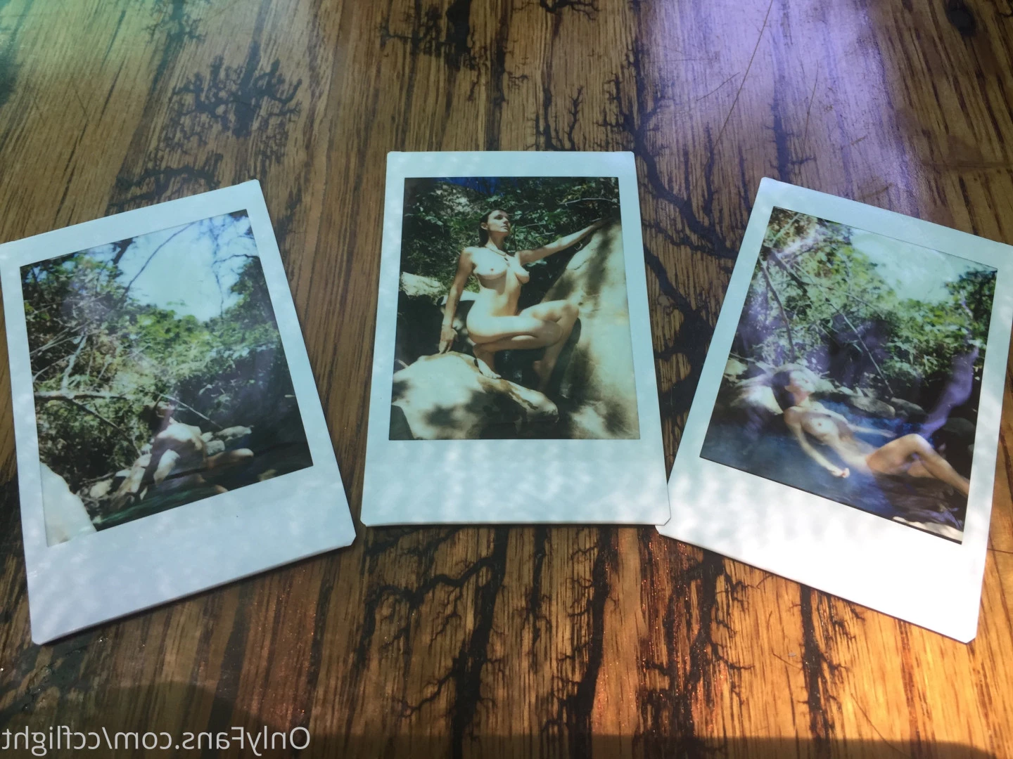 CC Flight [ ccflight ] Onlyfans leaked photo 10093328 on Hotleaks.tv